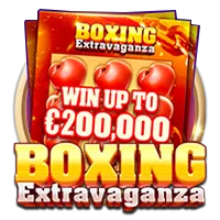 Boxing Extravaganza